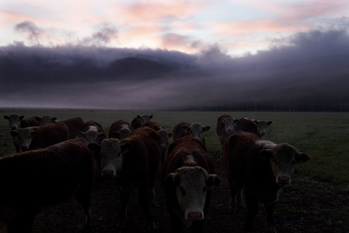 Storm photography by Nick Moir