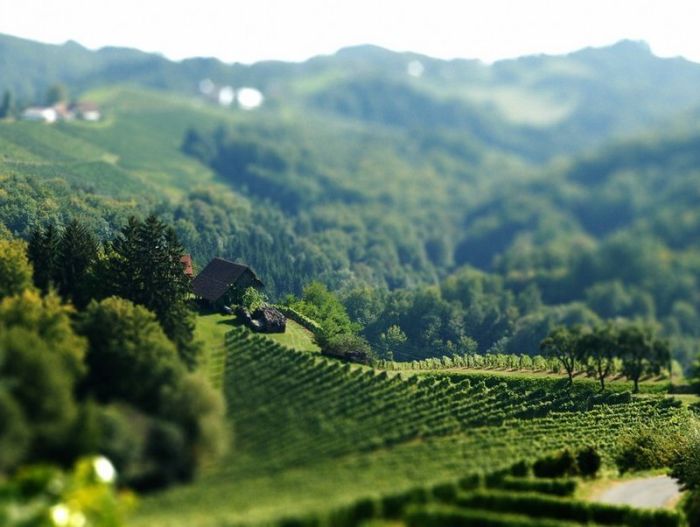 tilt-shift photography