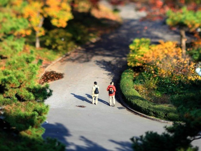 tilt-shift photography