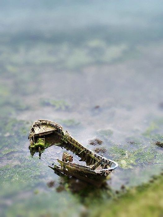 tilt-shift photography