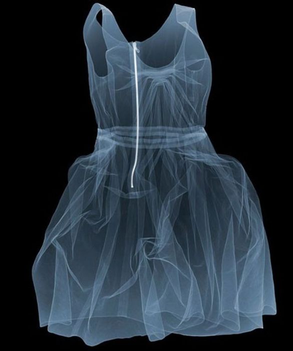 X-ray images by Nick Veasey