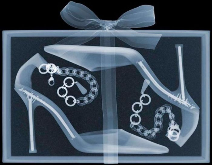 X-ray images by Nick Veasey