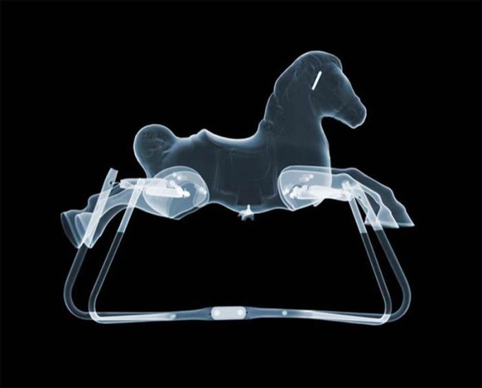 X-ray images by Nick Veasey