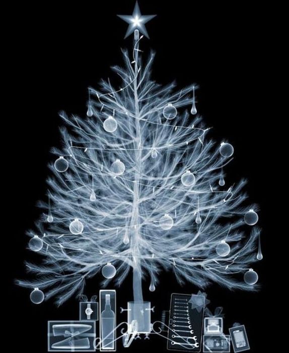 X-ray images by Nick Veasey