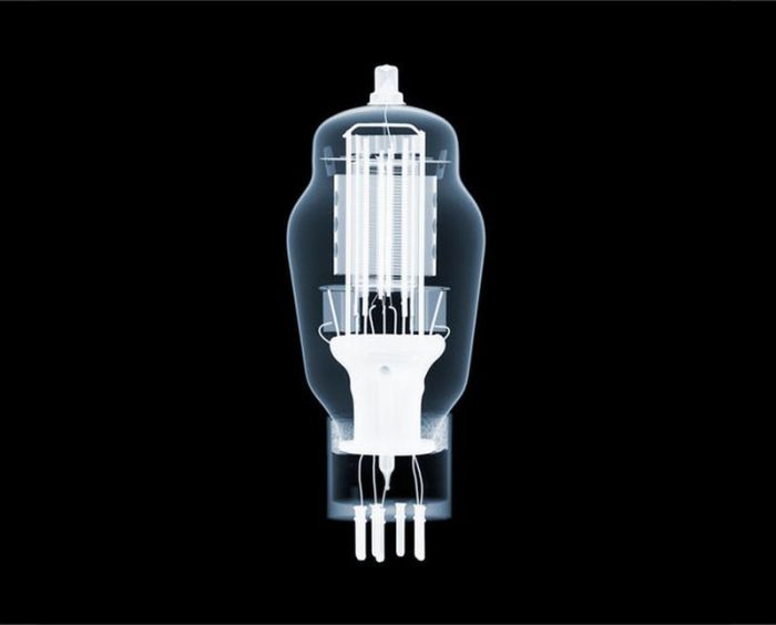 X-ray images by Nick Veasey