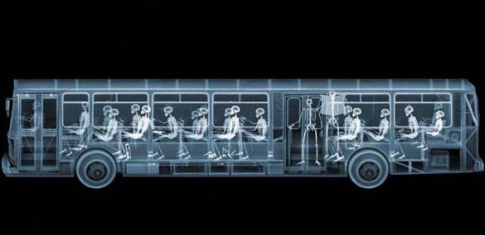 X-ray images by Nick Veasey