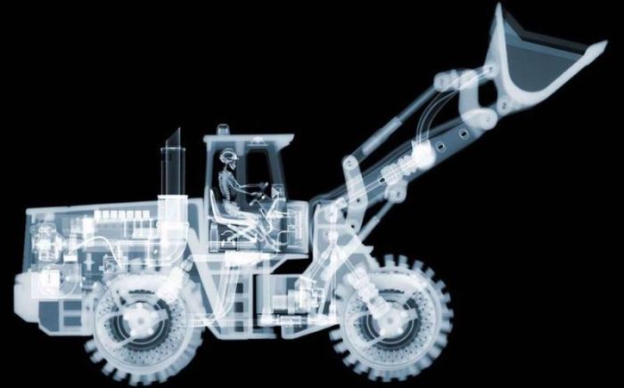 X-ray images by Nick Veasey