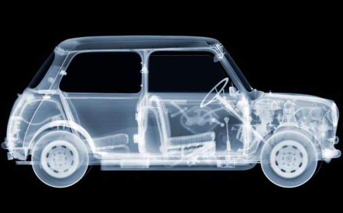 X-ray images by Nick Veasey