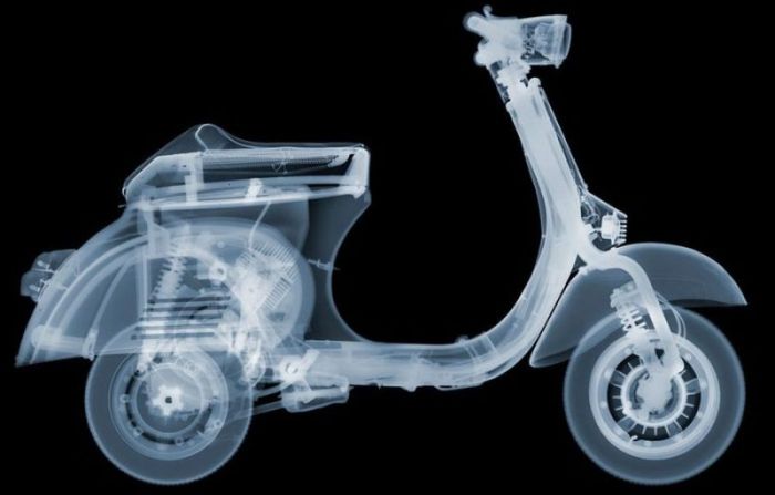 X-ray images by Nick Veasey