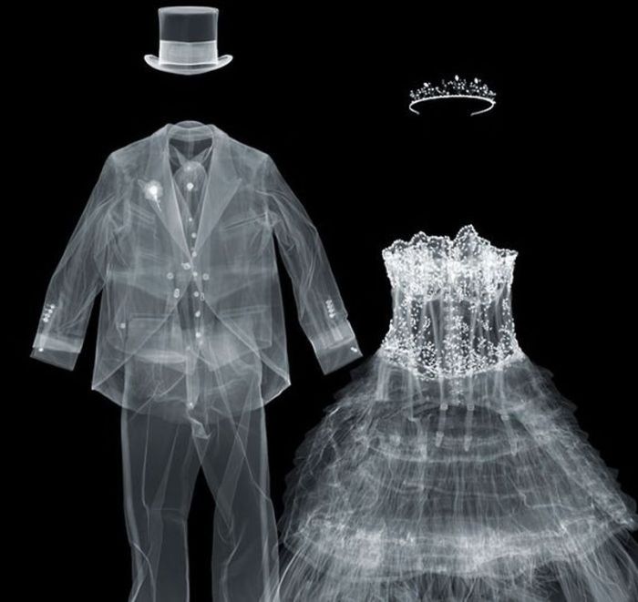 X-ray images by Nick Veasey