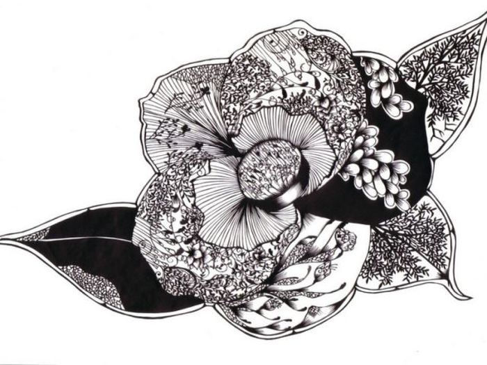 Paper cut art by Hina Aoyama