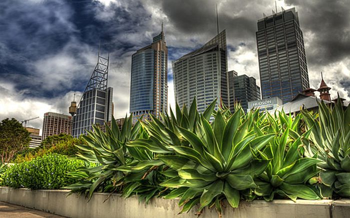 HDR city skylines