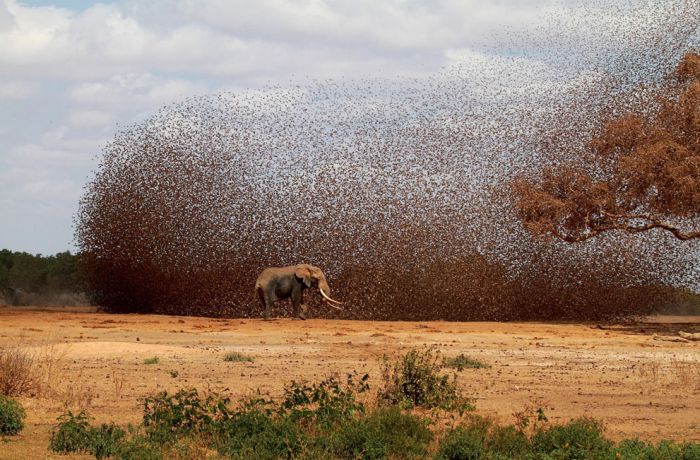 National Geographic Photo Contest 2012