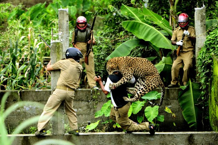 National Geographic Photo Contest 2012