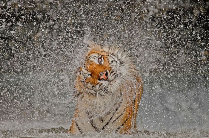 National Geographic Photo Contest 2012