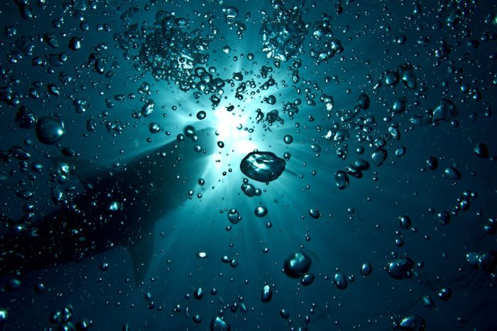National Geographic Photo Contest 2012