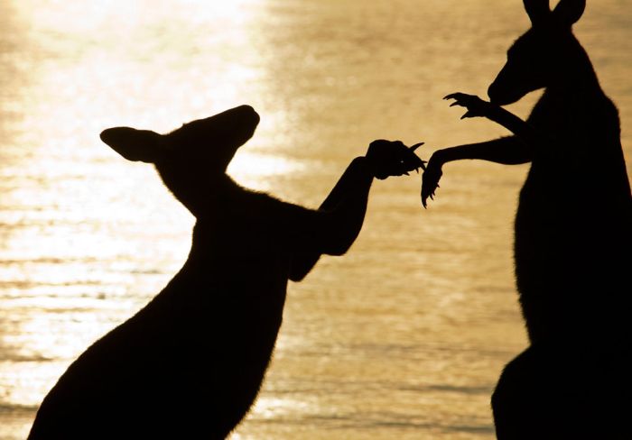 National Geographic Photo Contest 2012