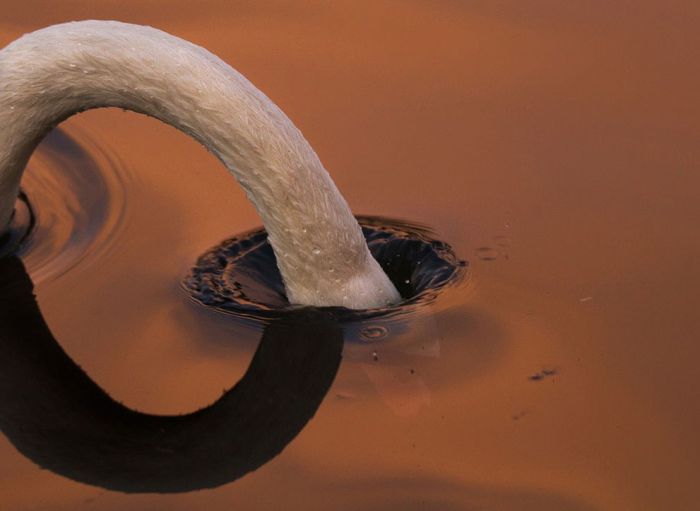 National Geographic Photo Contest 2012