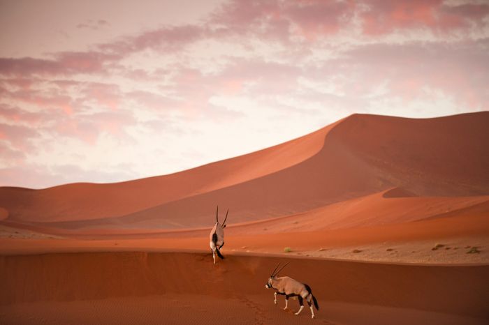 National Geographic Photo Contest 2012