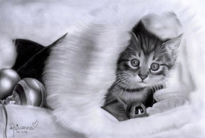 Pencil drawing by Rajacenna