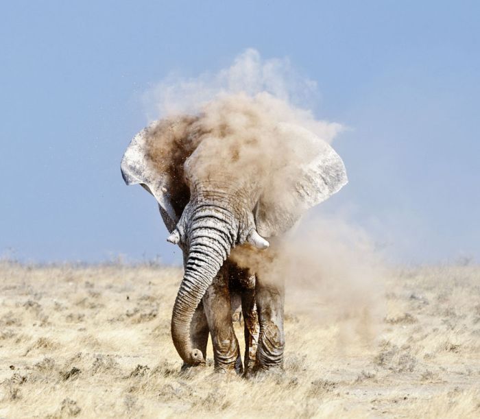 National Geographic Photo Contest 2012