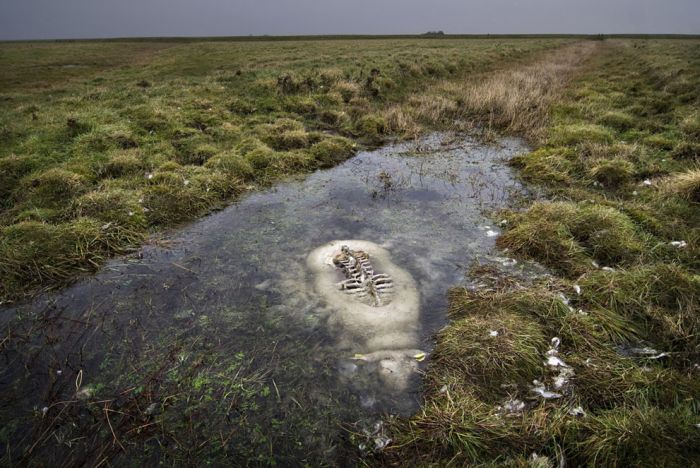 National Geographic Photo Contest 2012