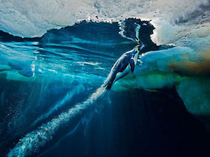 National Geographic Photo Contest 2012