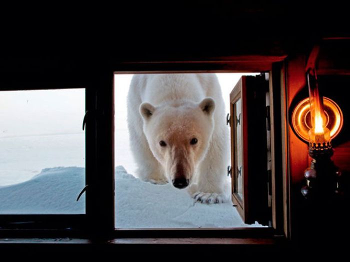 National Geographic Photo Contest 2012