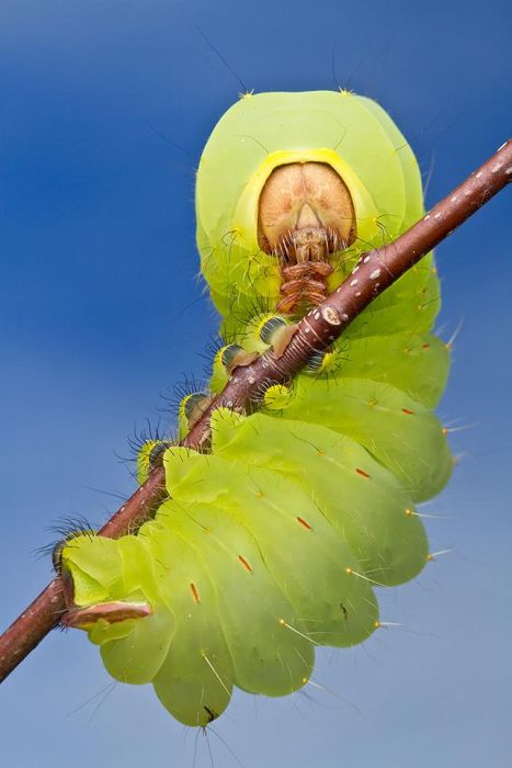 Smithsonian magazine photo contest 2012