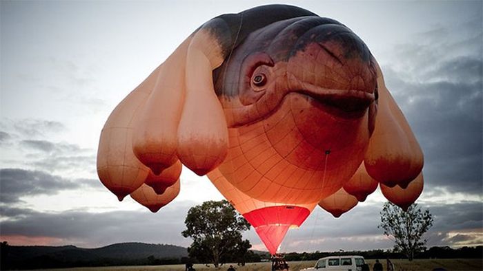 Skywhale hot-air balloon sculpture by Patricia Piccinini