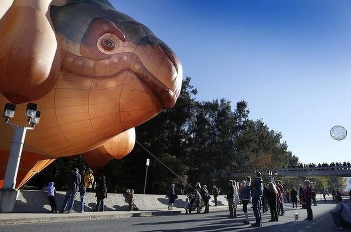 Skywhale hot-air balloon sculpture by Patricia Piccinini