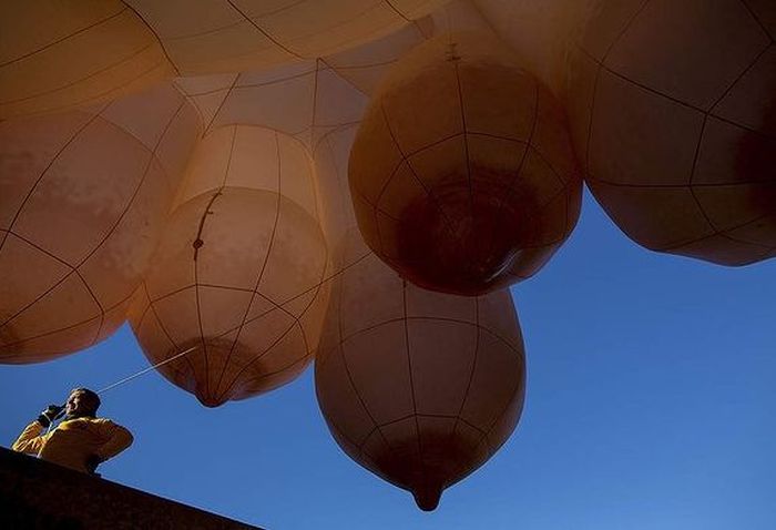 Skywhale hot-air balloon sculpture by Patricia Piccinini