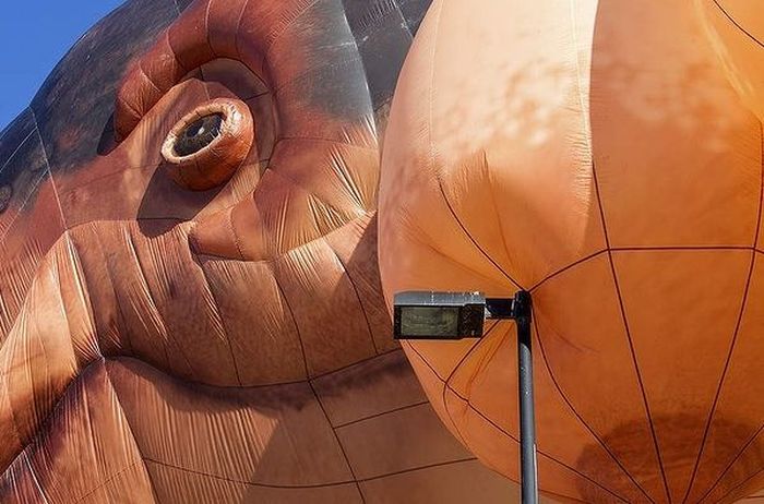 Skywhale hot-air balloon sculpture by Patricia Piccinini