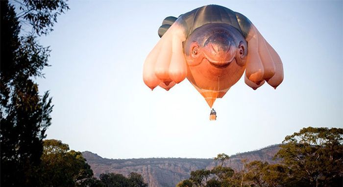 Skywhale hot-air balloon sculpture by Patricia Piccinini