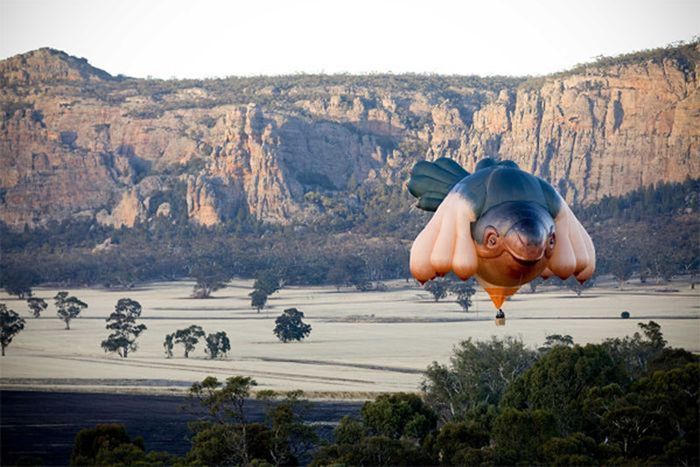 Skywhale hot-air balloon sculpture by Patricia Piccinini