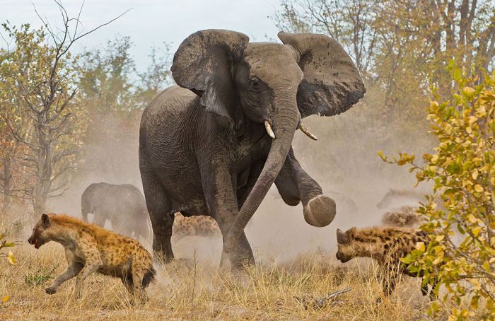 National Geographic traveler photo contest 2013