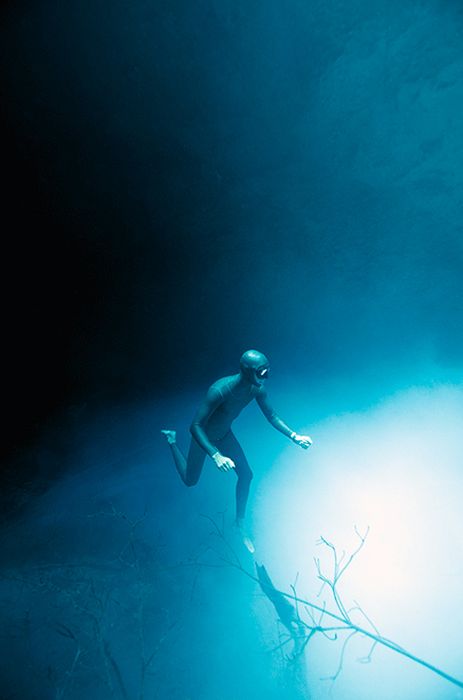 One Ocean One Breath freediving collaboration by Eusebio And Christina Saenz De Santamaria