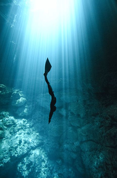 One Ocean One Breath freediving collaboration by Eusebio And Christina Saenz De Santamaria