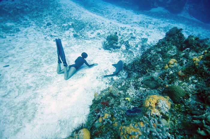 One Ocean One Breath freediving collaboration by Eusebio And Christina Saenz De Santamaria