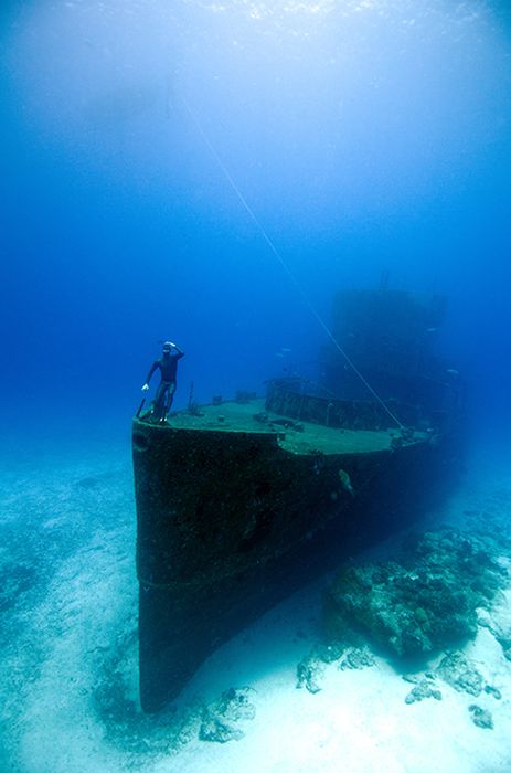 One Ocean One Breath freediving collaboration by Eusebio And Christina Saenz De Santamaria