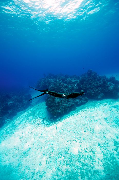 One Ocean One Breath freediving collaboration by Eusebio And Christina Saenz De Santamaria