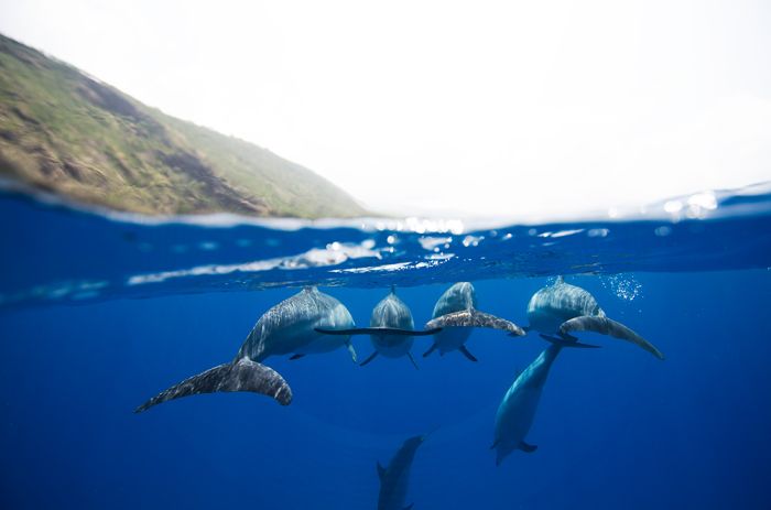 One Ocean One Breath freediving collaboration by Eusebio And Christina Saenz De Santamaria