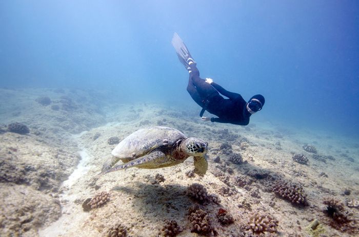 One Ocean One Breath freediving collaboration by Eusebio And Christina Saenz De Santamaria