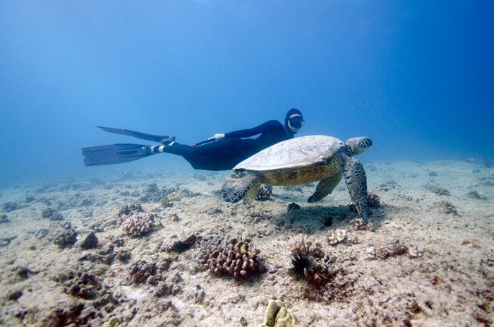 One Ocean One Breath freediving collaboration by Eusebio And Christina Saenz De Santamaria