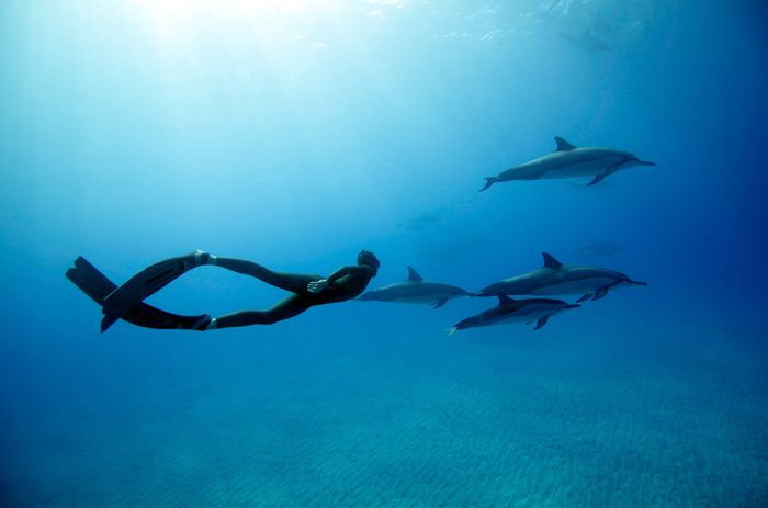 One Ocean One Breath freediving collaboration by Eusebio And Christina Saenz De Santamaria