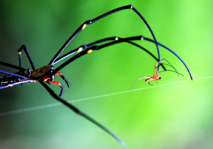 National Geographic traveler photo contest 2013