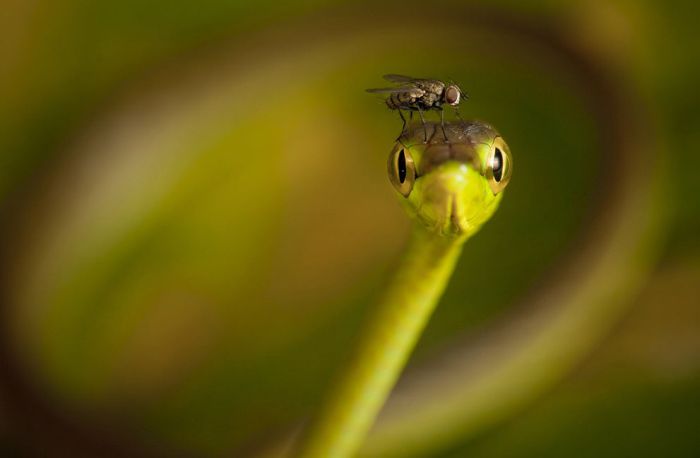 National Geographic traveler photo contest 2013