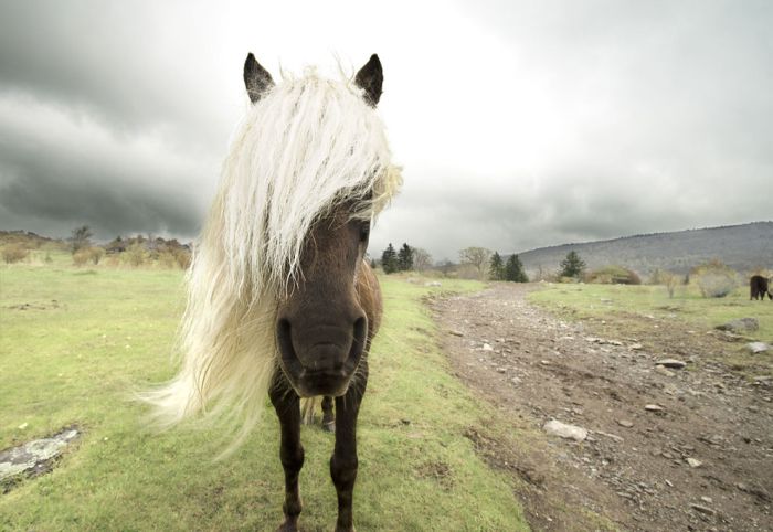 National Geographic traveler photo contest 2013