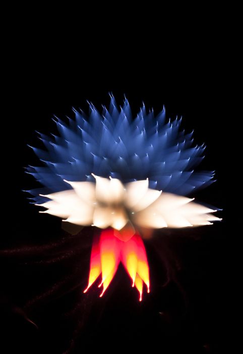 Long exposure fireworks by David Johnson