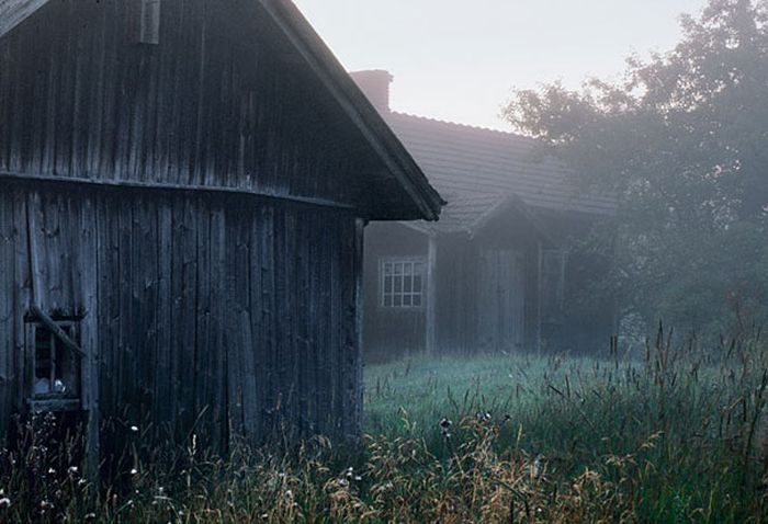 House in the Woods by Kai Fagerström